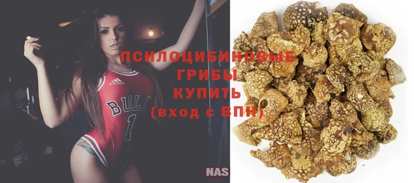сатива Балабаново