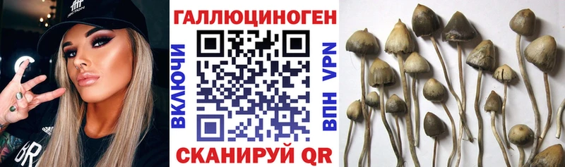 Галлюциногенные грибы мицелий Новая Ляля